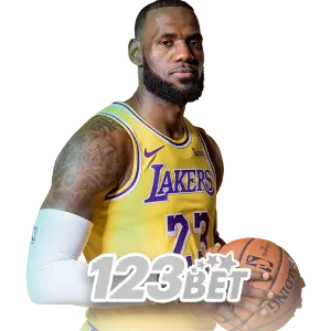 BINIJILI basketball match betting interface