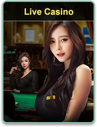 BINIJILI live casino table games with real dealers and players